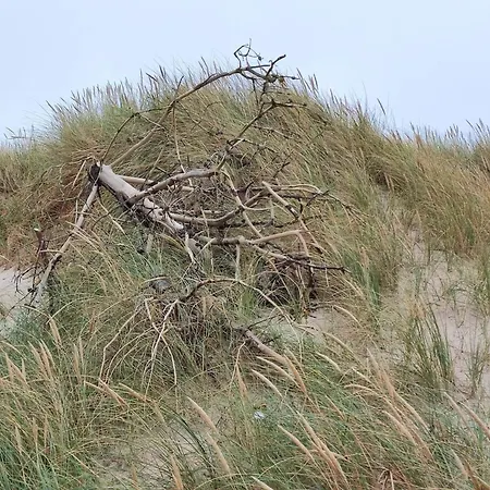 Cozy House Retreat - By Traum Casa vacanze Harboør